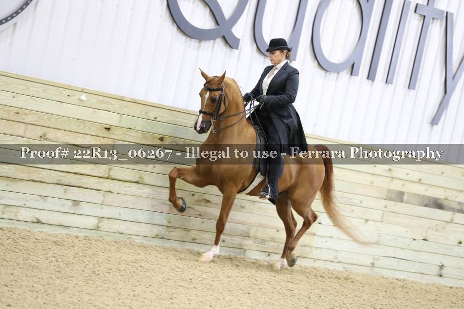Proof 22R13_06267