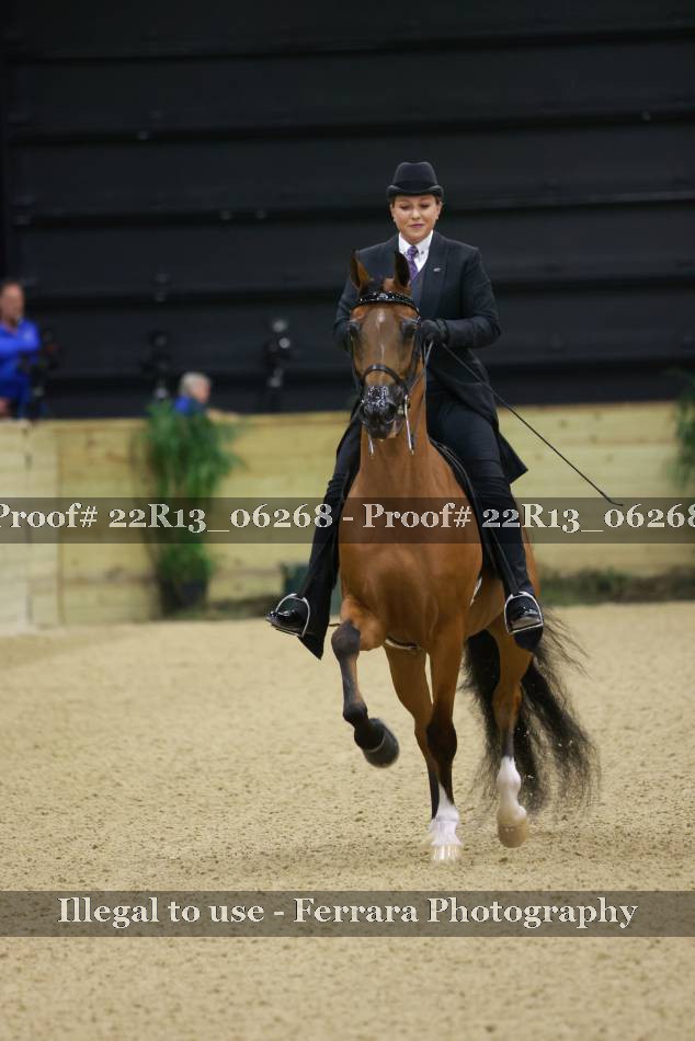 Proof 22R13_06268