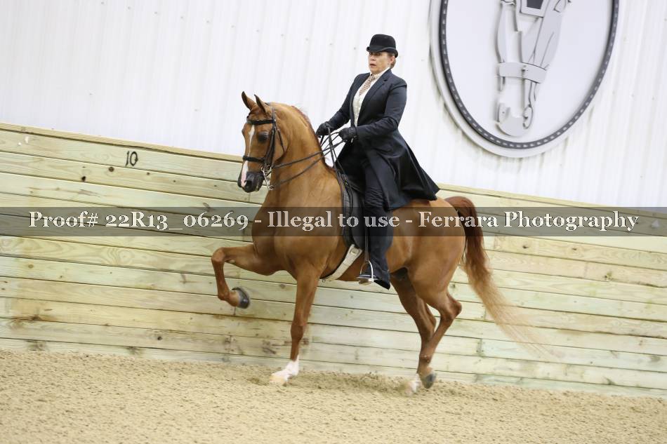 Proof 22R13_06269