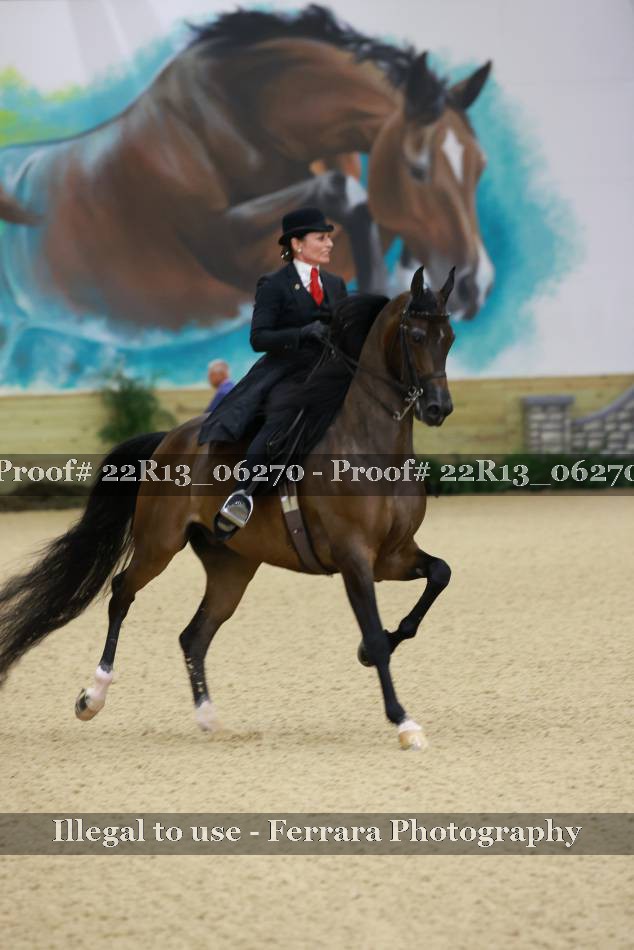 Proof 22R13_06270