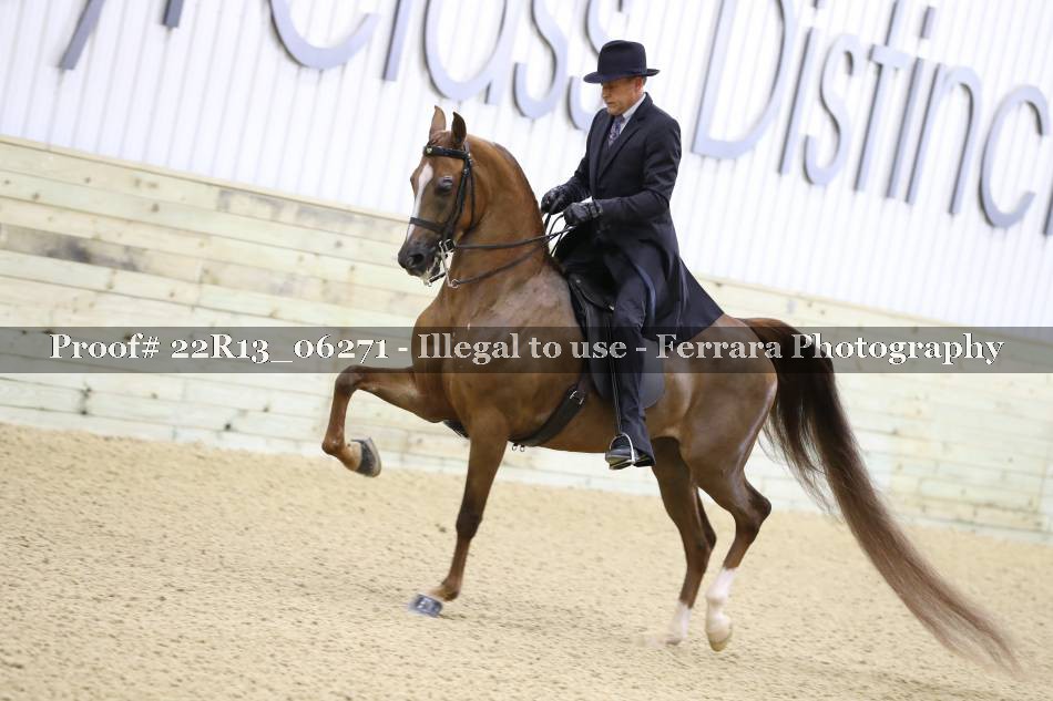 Proof 22R13_06271