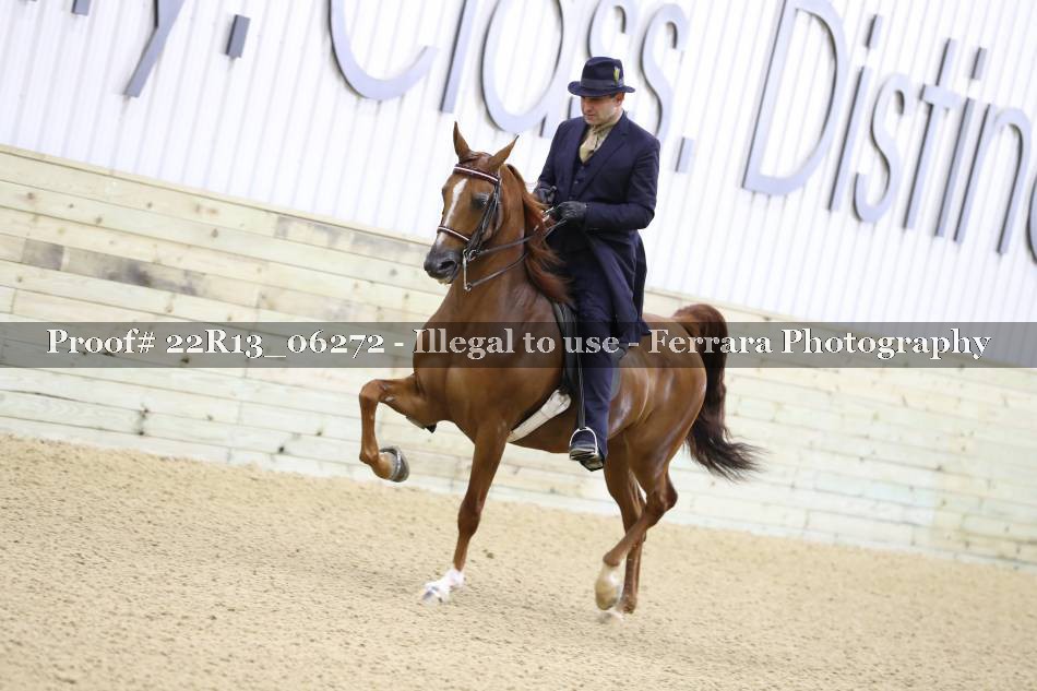 Proof 22R13_06272