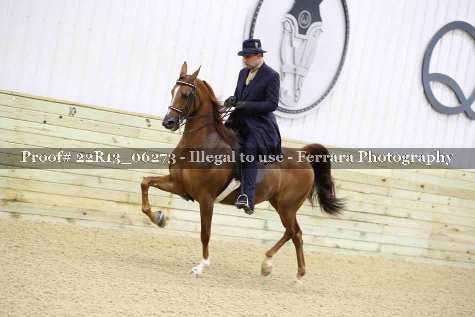 Proof 22R13_06273