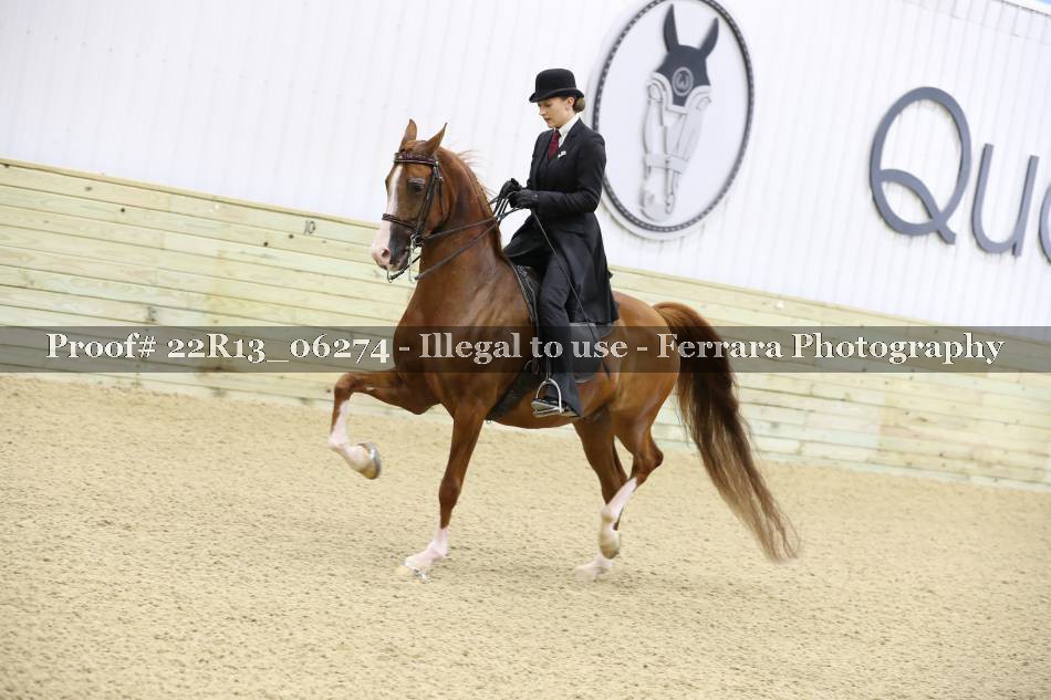 Proof 22R13_06274