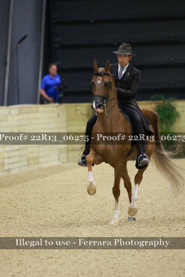 Proof 22R13_06275
