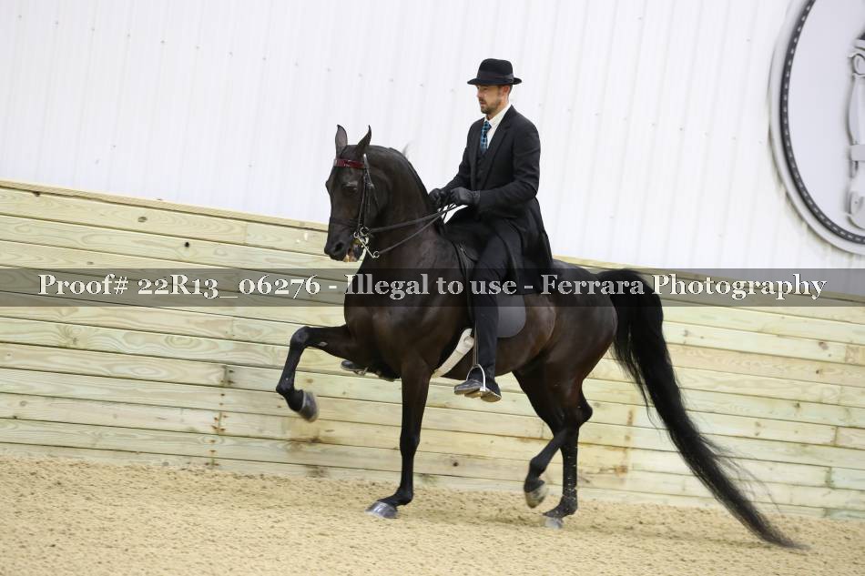 Proof 22R13_06276