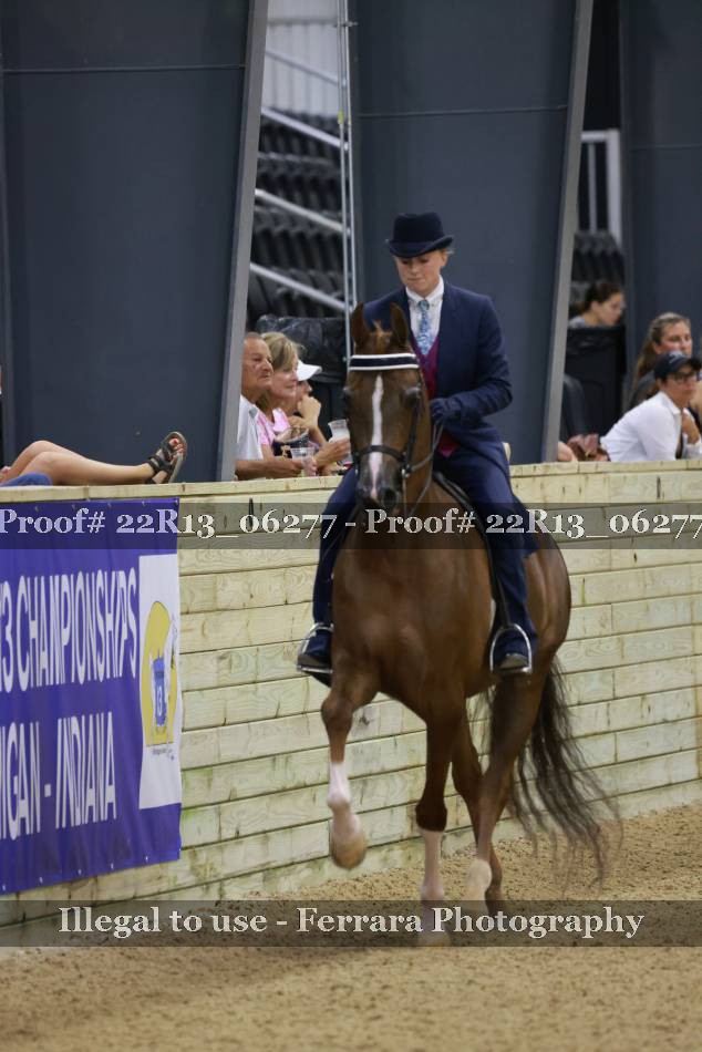 Proof 22R13_06277