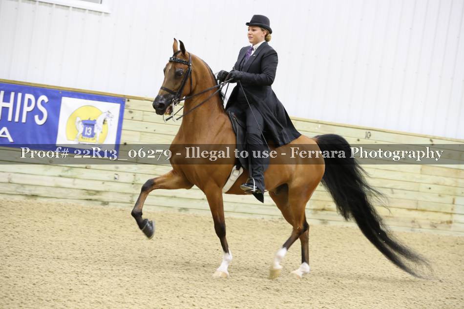 Proof 22R13_06279