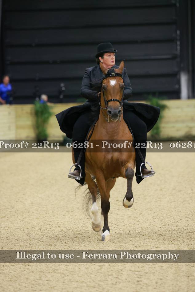 Proof 22R13_06281
