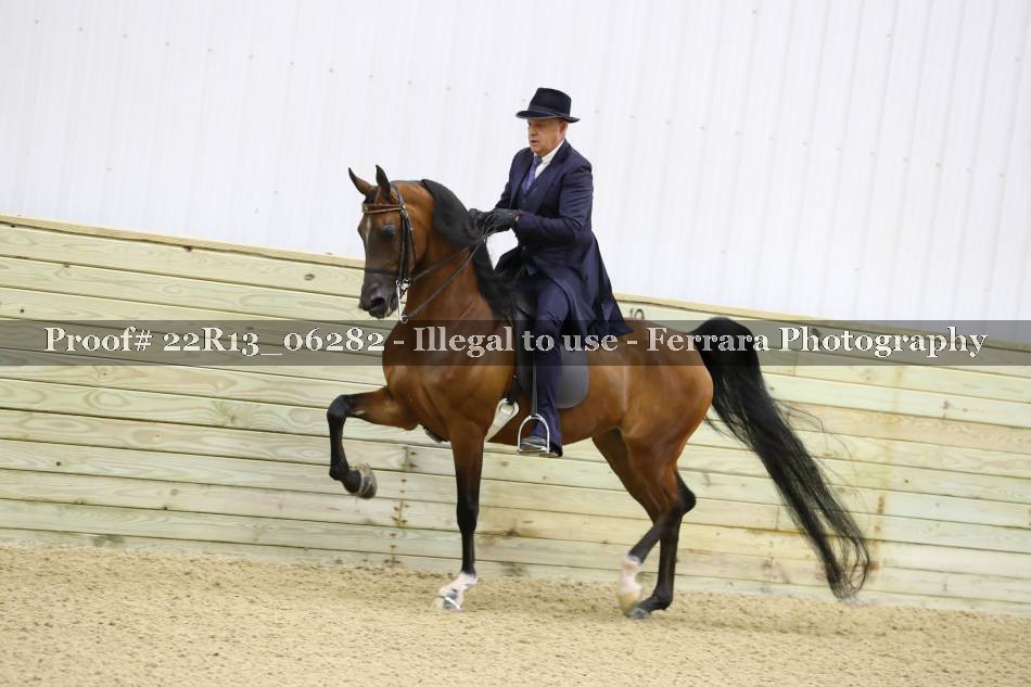 Proof 22R13_06282