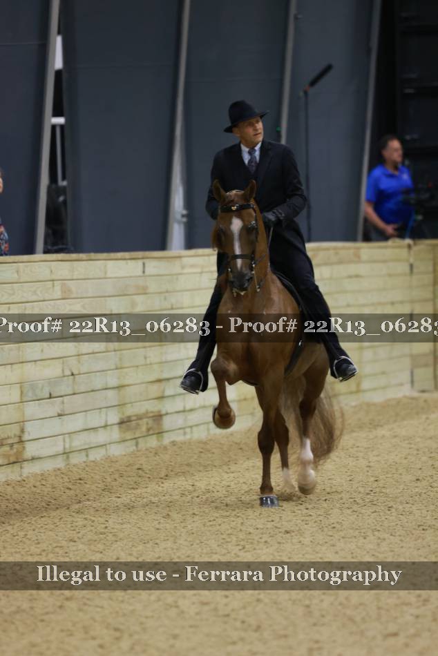 Proof 22R13_06283