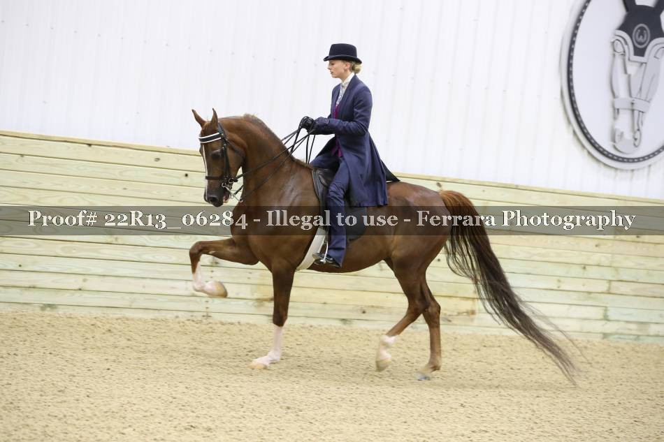 Proof 22R13_06284