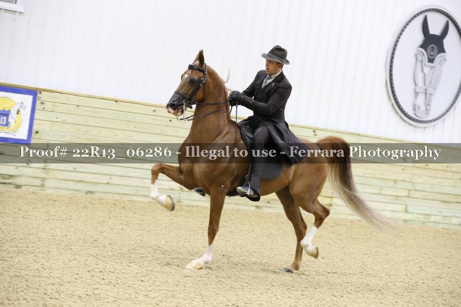 Proof 22R13_06286