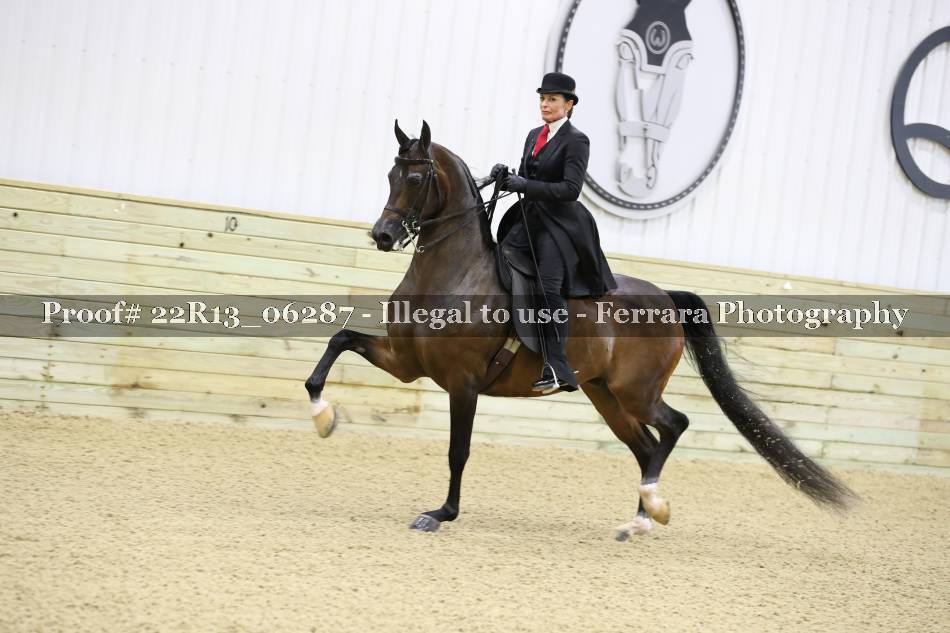 Proof 22R13_06287