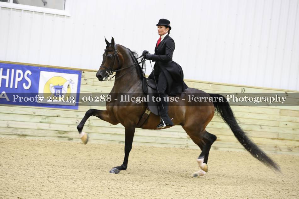 Proof 22R13_06288