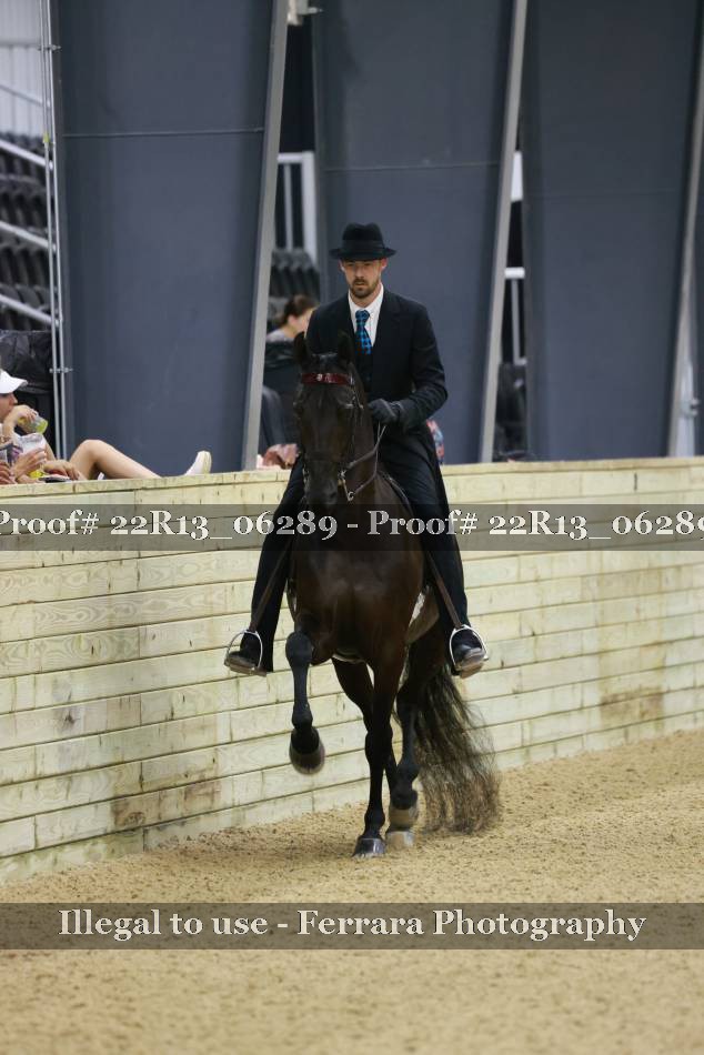 Proof 22R13_06289