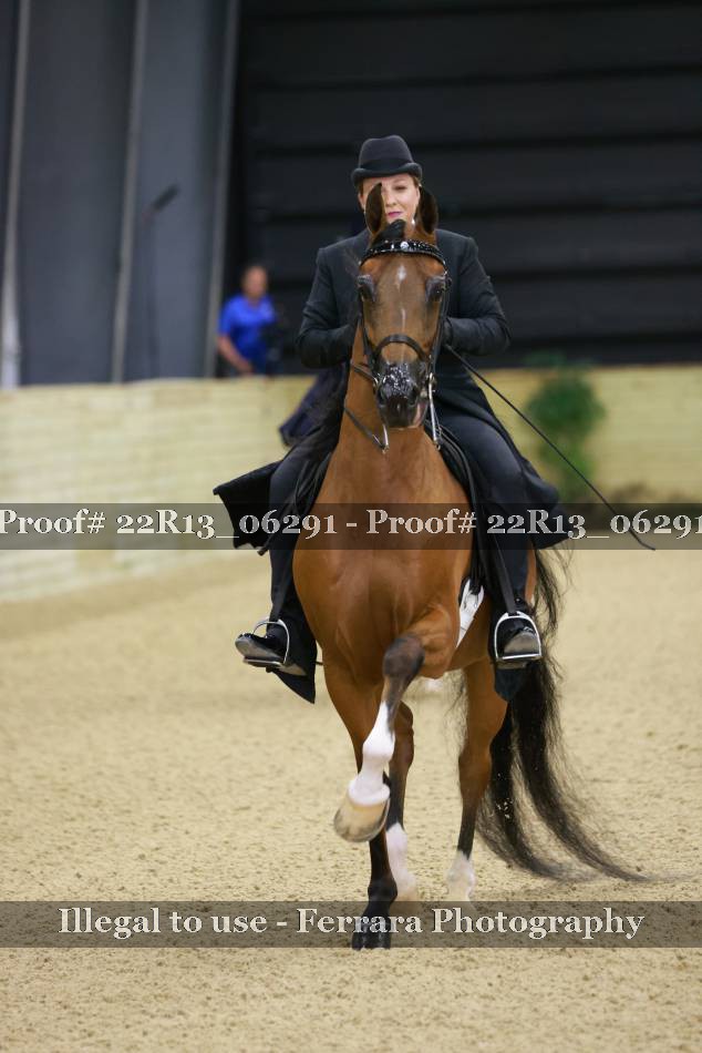 Proof 22R13_06291