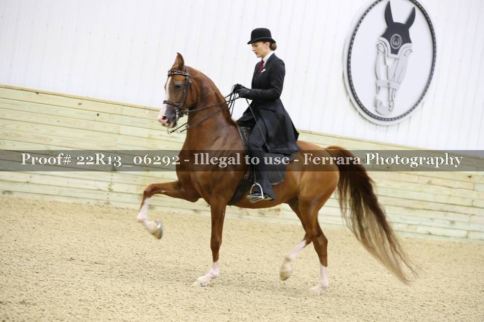 Proof 22R13_06292