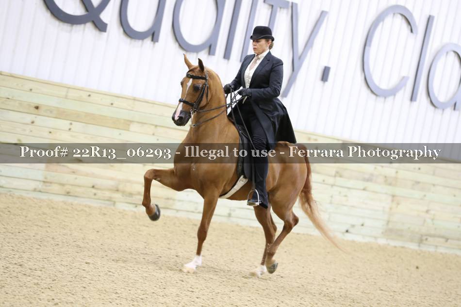 Proof 22R13_06293