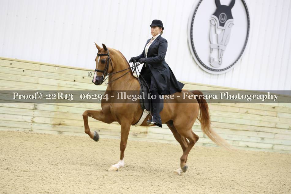 Proof 22R13_06294