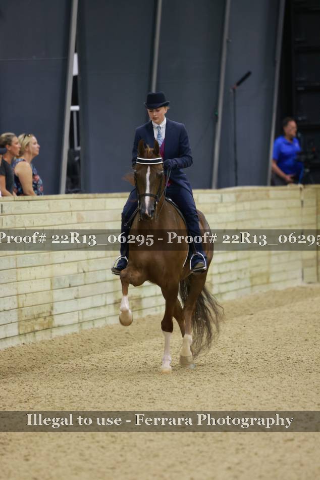 Proof 22R13_06295