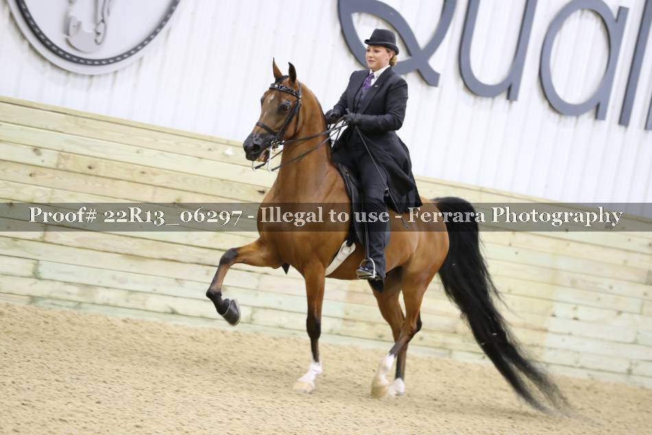 Proof 22R13_06297