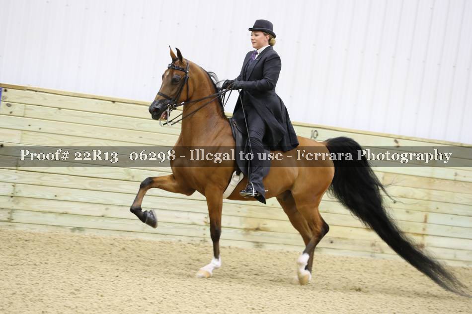 Proof 22R13_06298