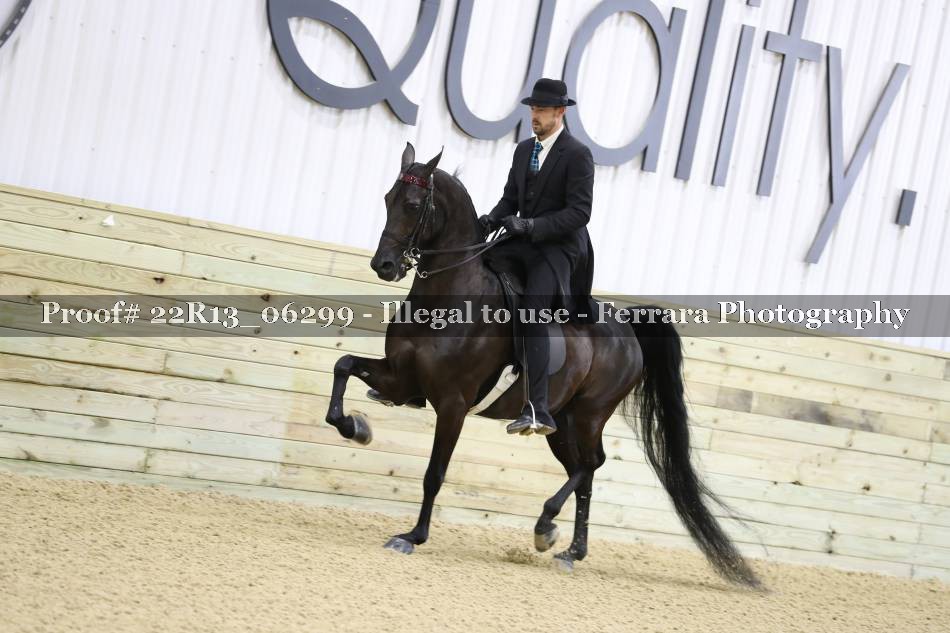 Proof 22R13_06299