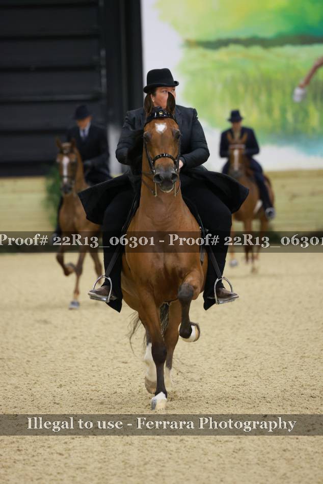 Proof 22R13_06301