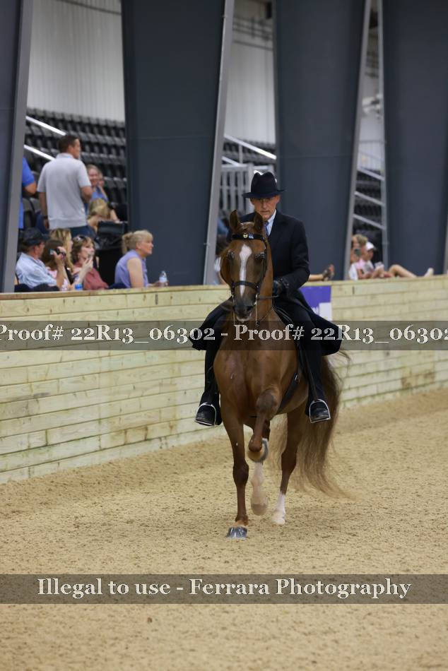 Proof 22R13_06302