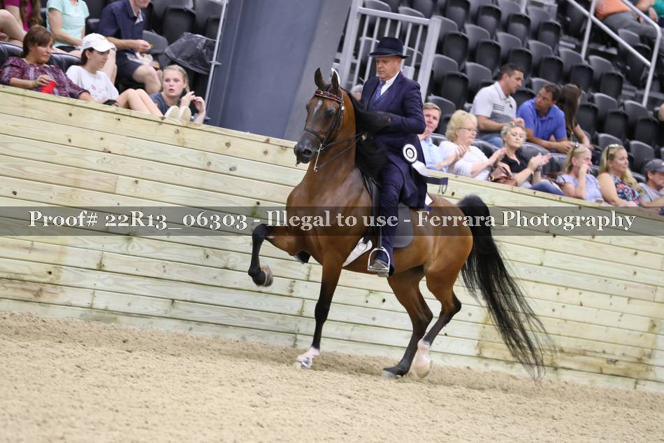 Proof 22R13_06303