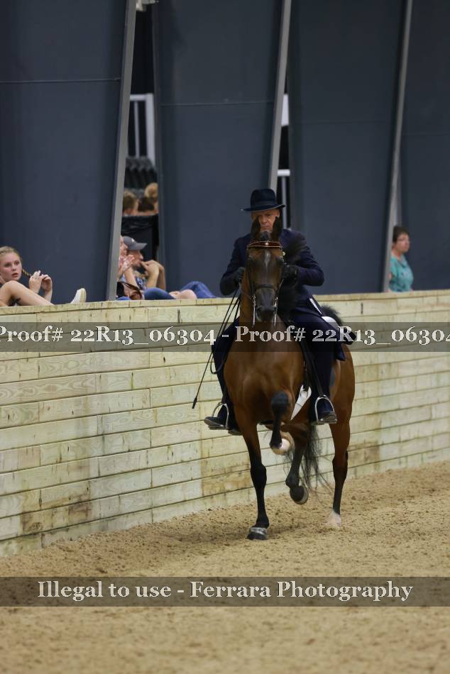 Proof 22R13_06304