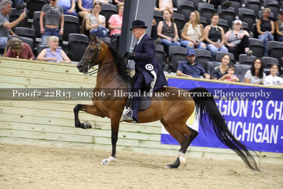 Proof 22R13_06306