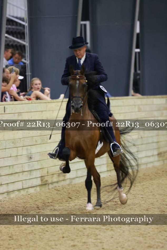 Proof 22R13_06307