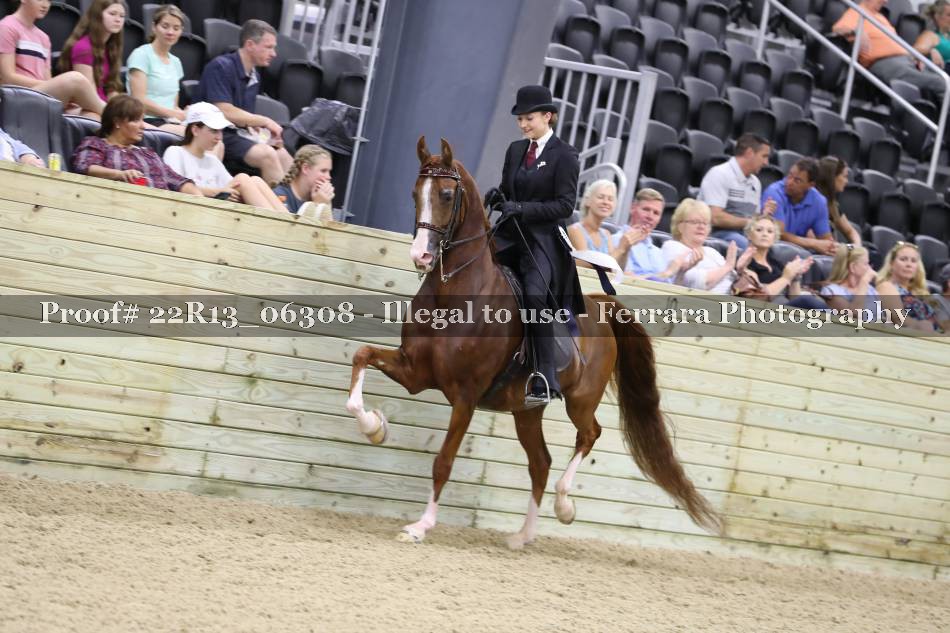 Proof 22R13_06308