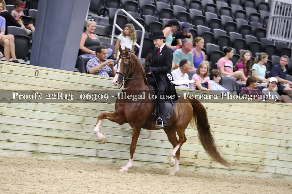 Proof 22R13_06309