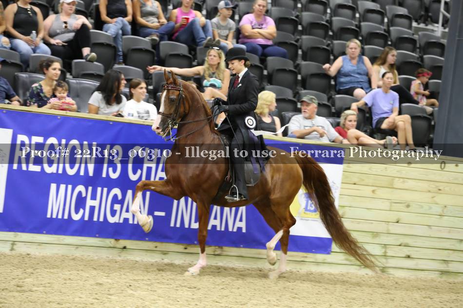 Proof 22R13_06310