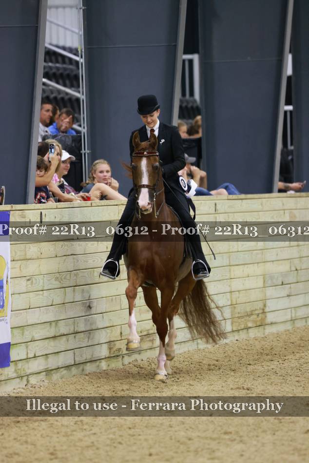 Proof 22R13_06312