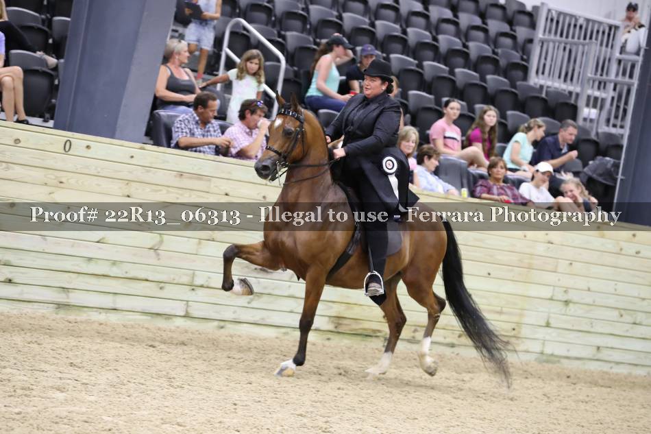 Proof 22R13_06313