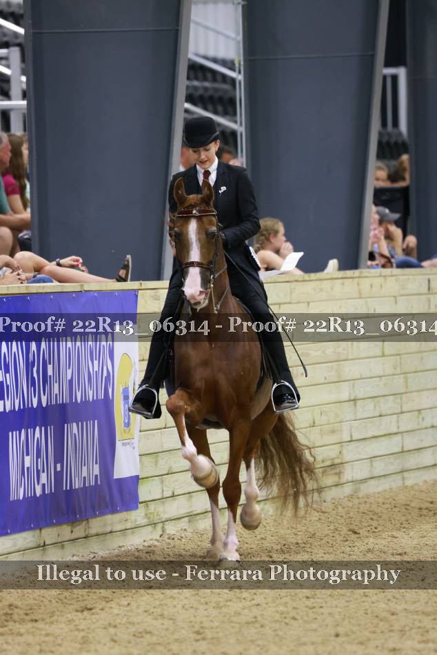 Proof 22R13_06314