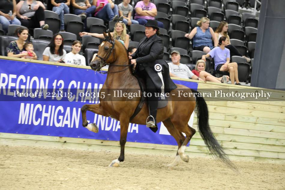 Proof 22R13_06315