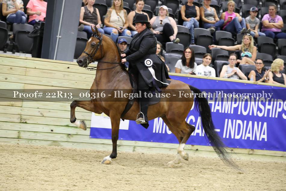 Proof 22R13_06316