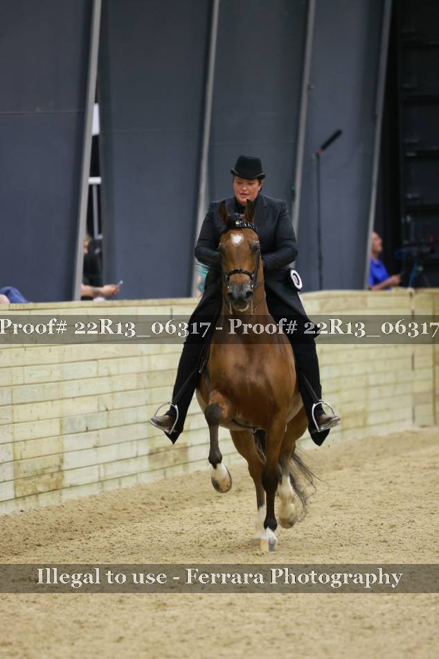 Proof 22R13_06317
