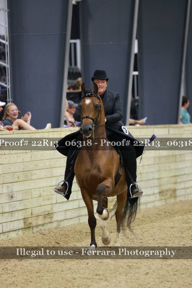 Proof 22R13_06318