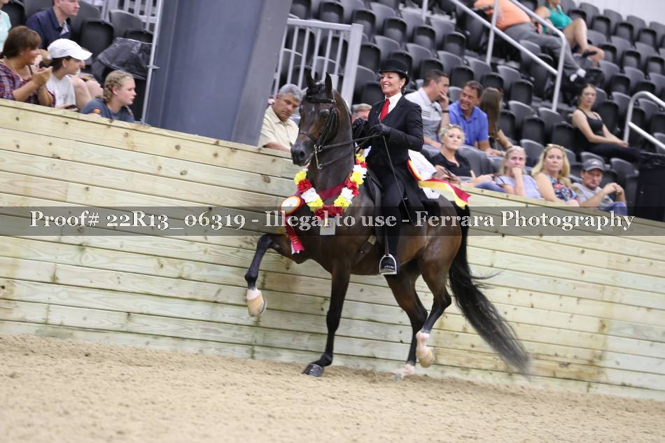 Proof 22R13_06319