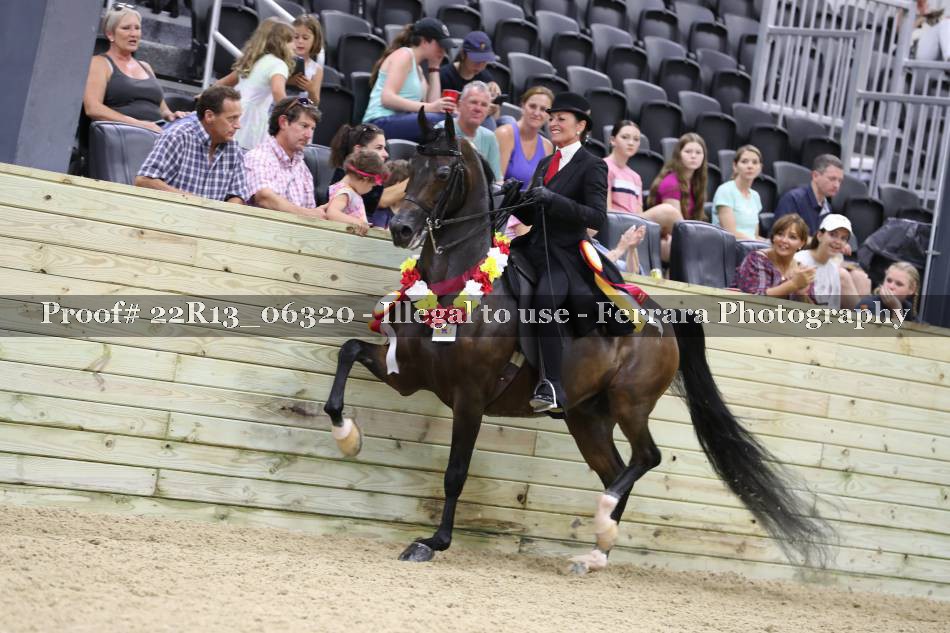 Proof 22R13_06320
