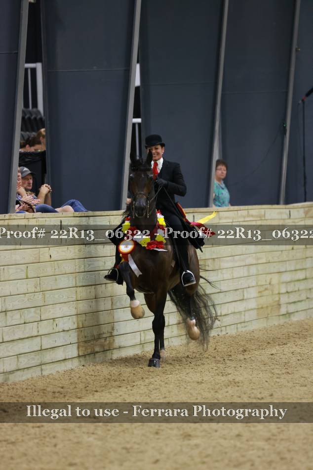 Proof 22R13_06322