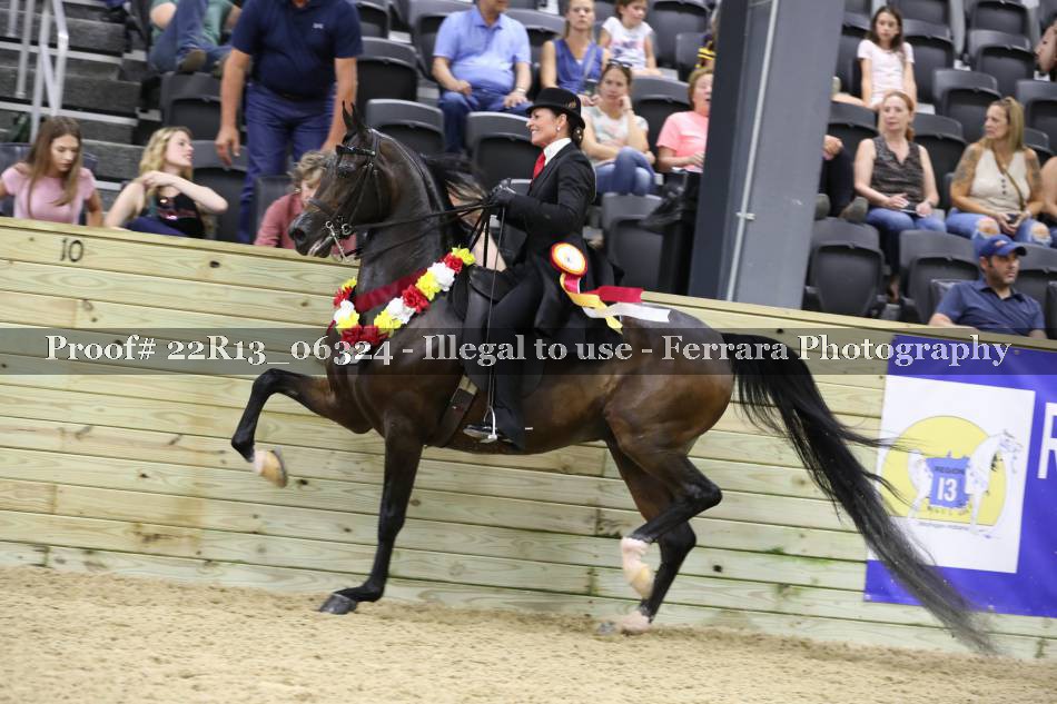 Proof 22R13_06324
