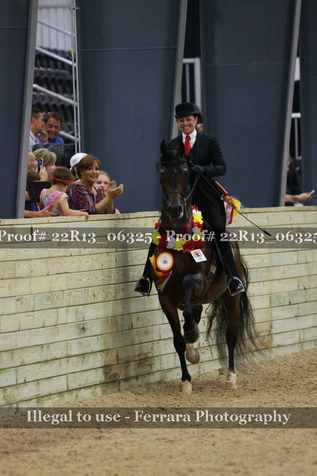 Proof 22R13_06325