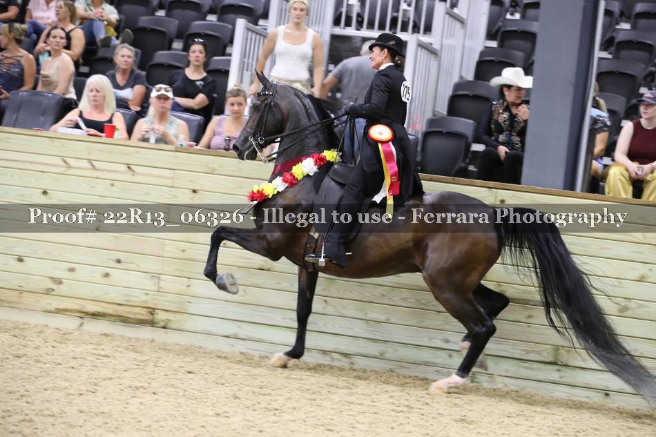 Proof 22R13_06326
